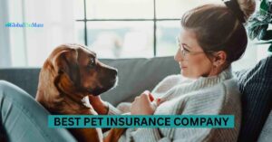 best pet insurance compay